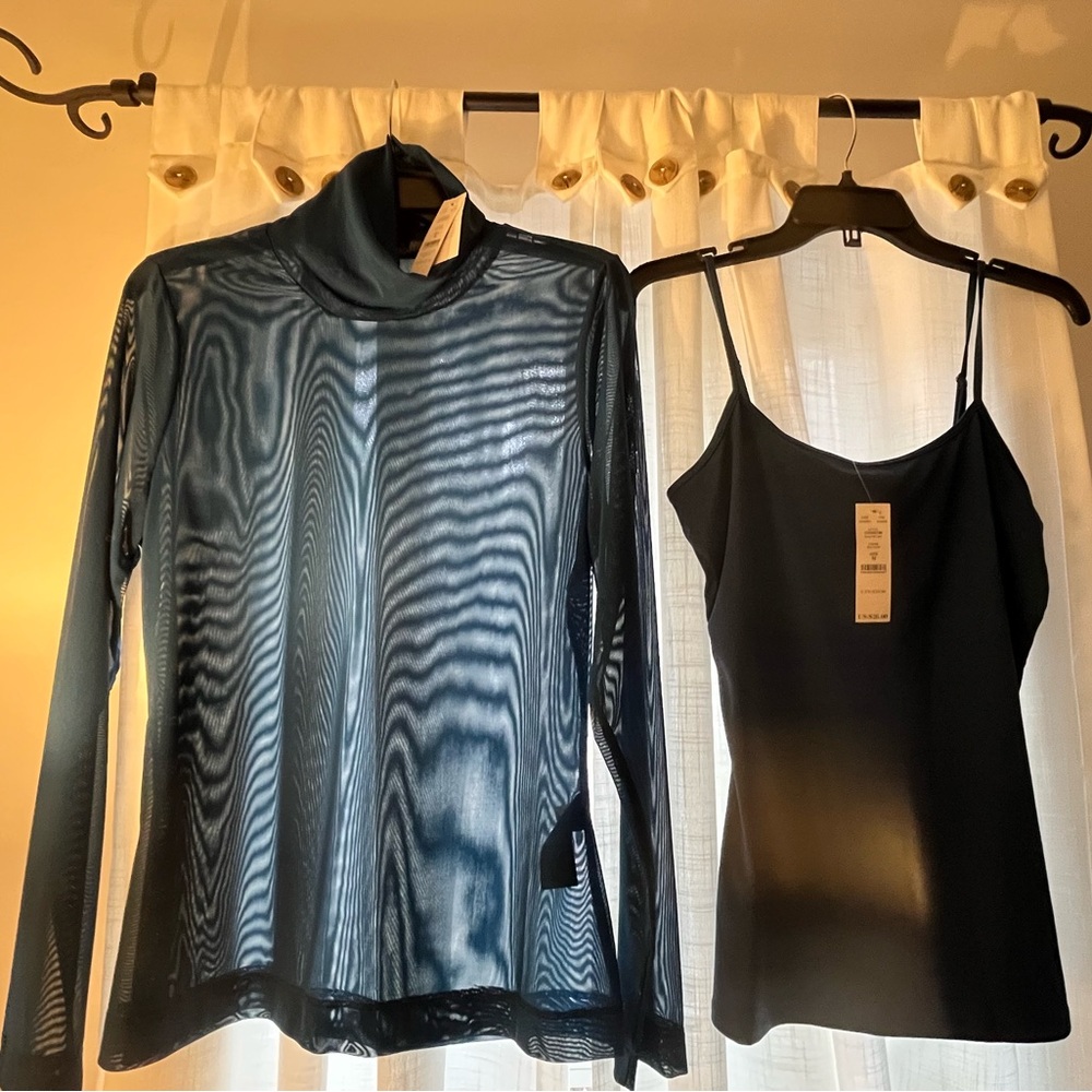 White House black market
Elegant Black Sheer Turtleneck Top